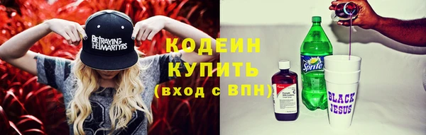 дмт Дмитров