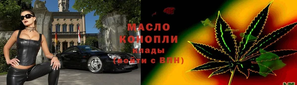дмт Дмитров