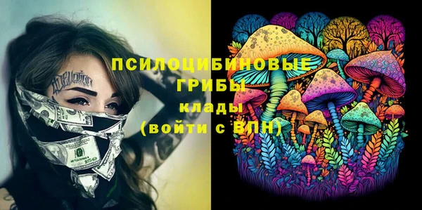 дмт Дмитров
