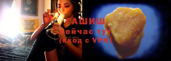 дмт Дмитров