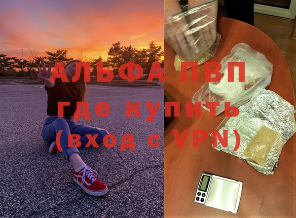 дмт Дмитров