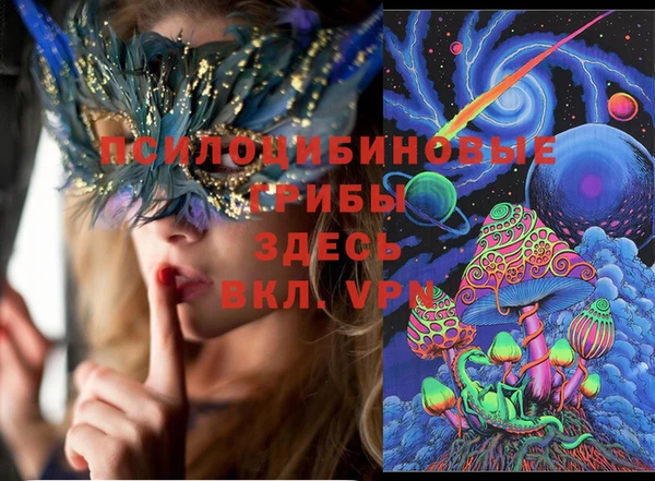 дживик Дмитриев