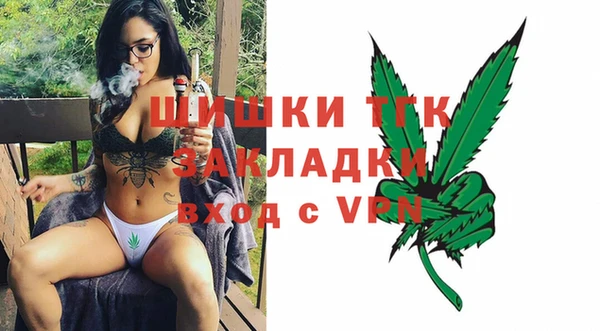 дмт Дмитров