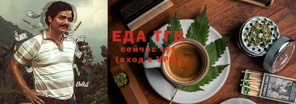 дмт Дмитров