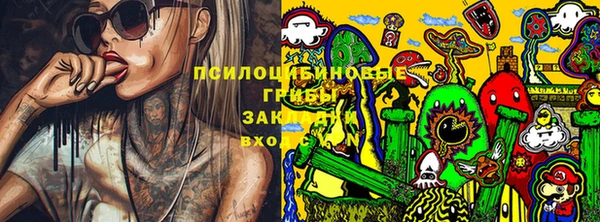 дживик Дмитриев