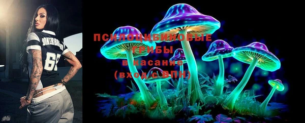 дживик Дмитриев